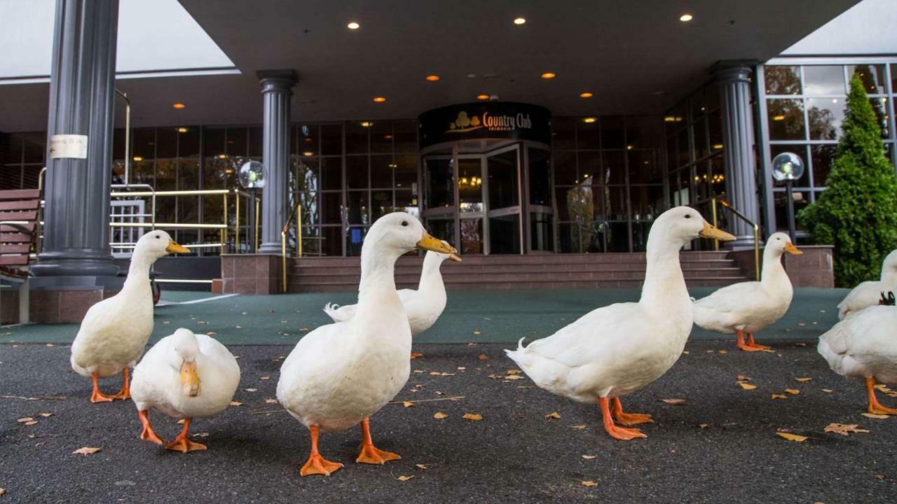 Country Club Tasmania Hotel Launceston Exterior photo